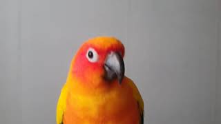 허접노래지만 춤은 춰줄게..