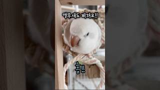 눈을 왜 그렇게 떠? 질투의 화신 앵다복#러블리다다즈 …