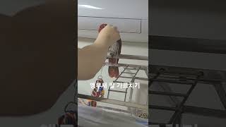 #parrot #asmr #birds #cute #lo…