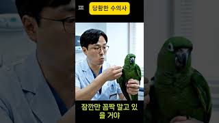 주사 맞기 싫어하는 앵무새의 절규