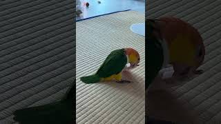 오늘도 폴짝폴짝