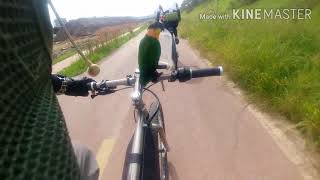 바람 부는날 카이큐