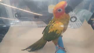 썬코뉴어 여긴 어디 난 누규~?