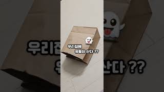 우리집에 유령이 산다⁉️ #귀여운동물영상 #한스마카우