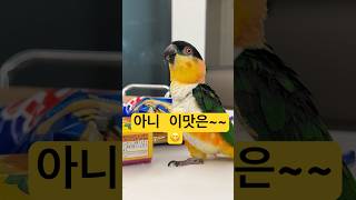 아빠 과자 냠냠냠.                    …