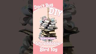 Conure DIY Shreddable Toy | DI…