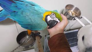 우리 이쁜 하늘이(청금강)