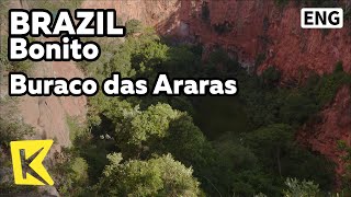 【K】Brazil Travel-Bonito[브라질 여행…