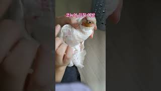 코뉴어 입질 교정법