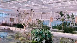 대전오월드 버드랜드 수련정원, 썬코뉴어, 앵무새체험, …