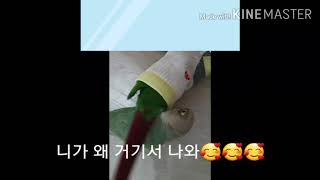 코뉴어~~니가 왜 거기서 나와^^ㅋㅋ