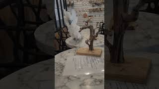 엄브렐라 코카투 달래가 아빠한테 달려가면서 하는 말은?