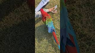 오늘의행운)올림픽공원 잔디마당에  홍금강이 등장~  넘…