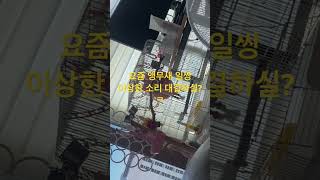 #parrot #앵무새 #모란이피기까지는 #코뉴어 #반려동물 #birds #cute #동물 #모란 이상한 소리 대결?ㅋ