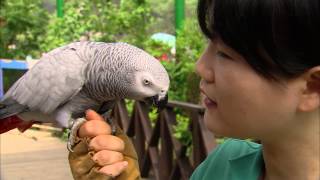 개인기로 재무장한 앵무새 랄라