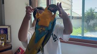 이모가 잘 놀아줘 2