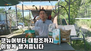 코뉴어부터 대형조까지 먹을수 있는 사료 #bird #parrot