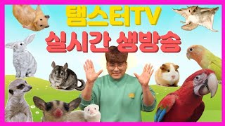 홍금강이 아빠라한다.. 말을한당..