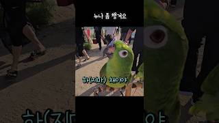 누나 좀 챙겨봐(창피하다구!)늘 누나한테 잔소리하는# …