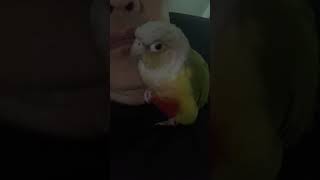 소망이의 일상(코뉴어)