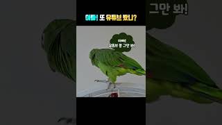 뭔가? 열심히 설명하는데 결론은???