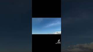 First Freeflight Phoenix the Greenwing Macaw! (It was very windy)