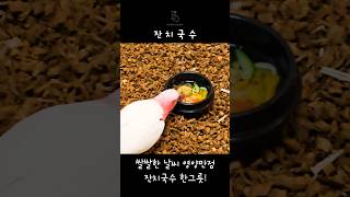  브리더가 직접 만들어주는 앵무새 간식 잔치국수 