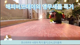 해피버드데이 앵무새들의 특기