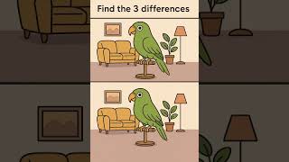 못 찾으면 잠 못 잔다! 앵무새 이야기 틀린그림찾기