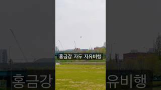 홍금강 자두의 자유비행 | 겨울가을이랑 잘나네~ 많이 …