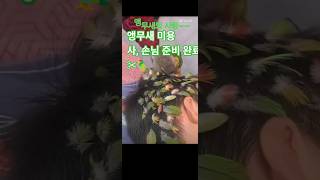 앵무새의 사랑~~Love of a Parrot앵무새 미…