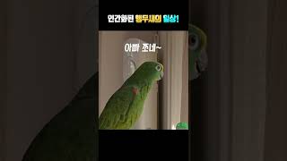 아빠~~그.... 별이의 속마음!!