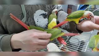 동네 꼬마 코뉴어들~~나와서 아빠 방해하기