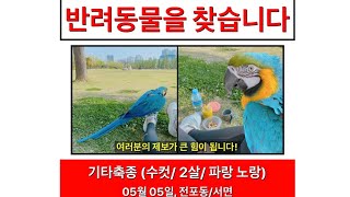 양평 카페 마카우 DAY2 [잃어버린 도일이][새 찾는 법?]