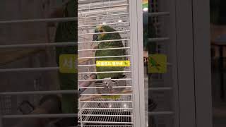 서울랜드,앵무새