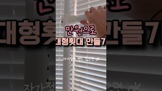 만원으로 대형횟대 만들기 #eclectusparrot #lovebirds #parrot #birds #앵무새 #뉴기니아