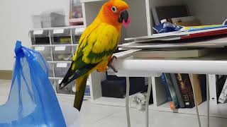 20171117 썬코뉴어의 문제해결능력