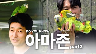 이게 바로 아마존 앵무새입니다. 아마존 집사들 필수 시…