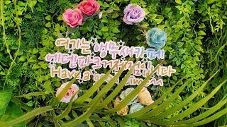 자딘앵무새  에덴파크거제점!