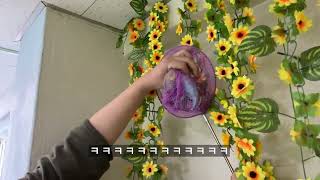 앵무새 카페 알바 real vlog - #vlog #앵…