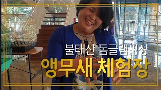 불태산캠핑장 장성돔글램핑 계곡물놀이 &#39;앵무새 체…