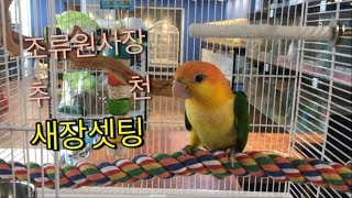 앵무새 입양시 새장 및 용품 셋팅방법!!(용품,횃대)