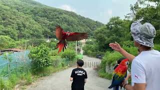 청금강 청일이 와  퀘이커 똘빵이 비행