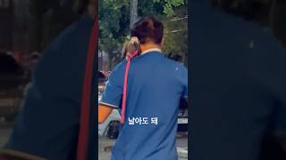 날까 말까? #animals #animalshorts #알고리즘 #동물 #새 #앵무새 #birds #shortsfeed #shortvideo #shorts #fly #구독 #쇼츠