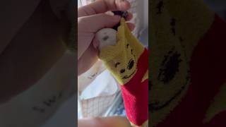 말랑콩떡 모란앵무새 럭키 하루종일 만지고싶다☺ #bir…