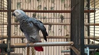 아빠랑 칭찬으로 공부하는 리얼 교육~ 칭찬은 똘이를 춤…