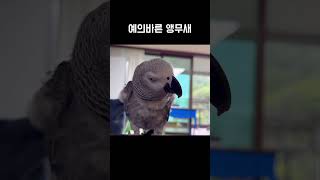 자기 아는척 해줬다고ㅋㅋㅋㅋ