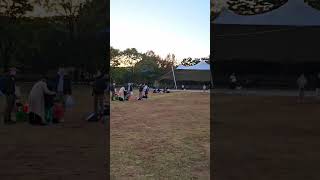 자유롭게 날아 다니다가 주인에게 돌아오는 앵무새 #앵무새자유비행 #앵무새