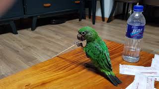 한가로운 시간 ~^^