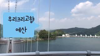 앵무새아빠. 앵무새키우기 코뉴어앵무새.  새식구